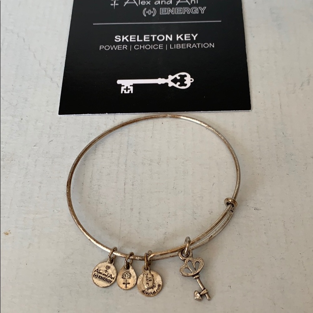 Alex and ani energy bracelet